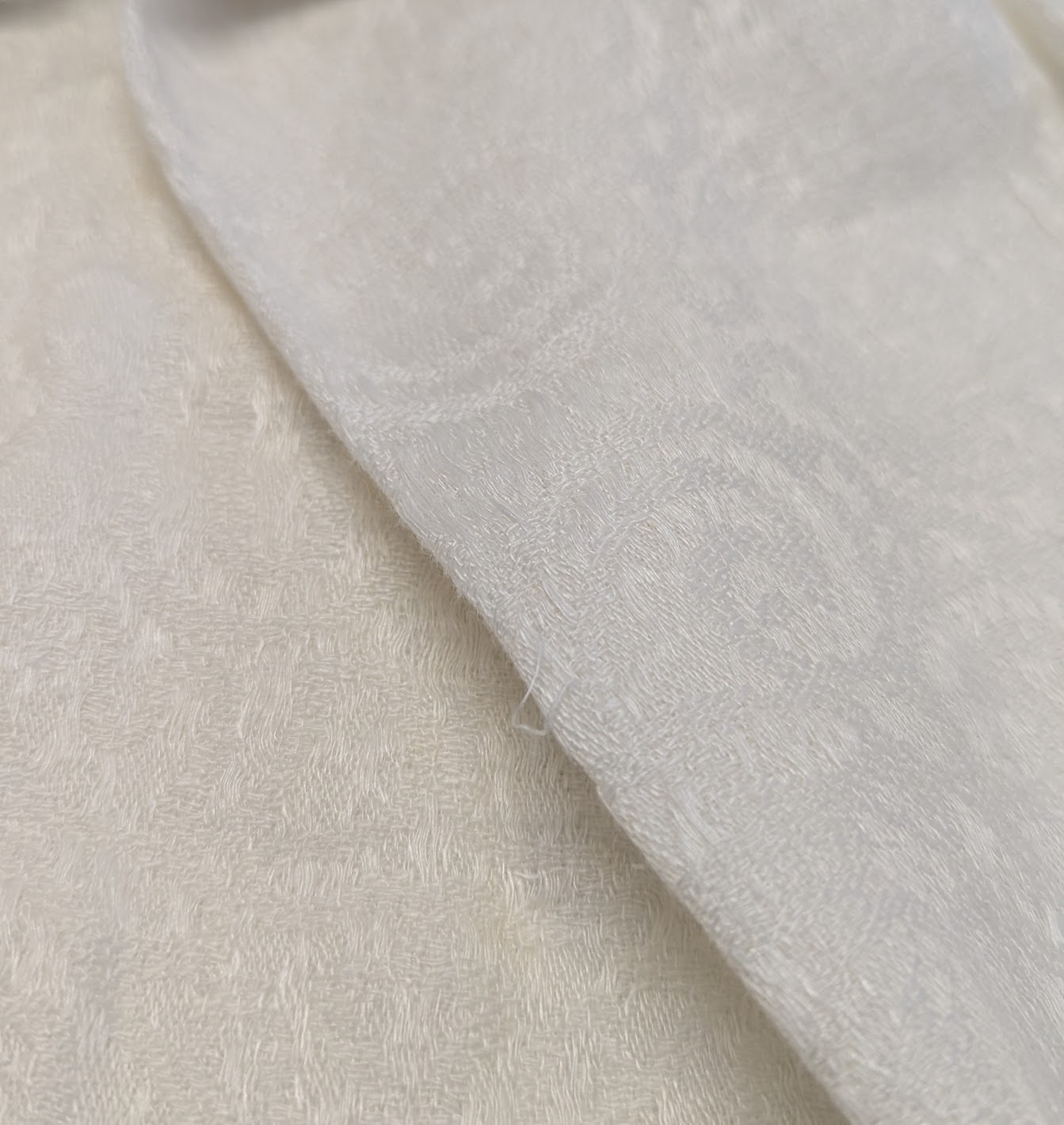Oyster 'organic Lace'