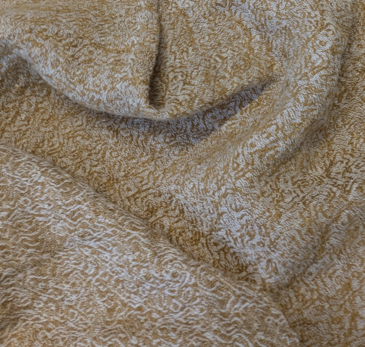 JE1603 — Bare Elephant
