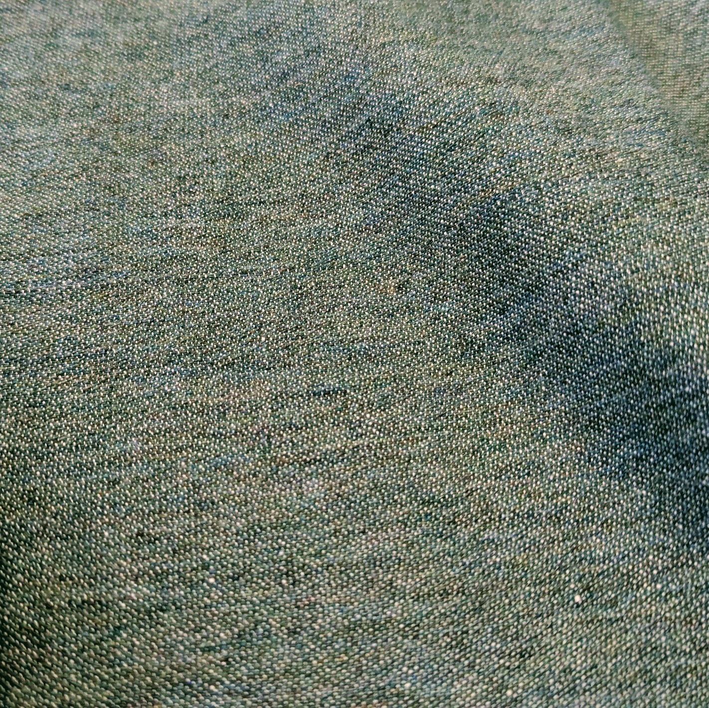 Rannoch Elder