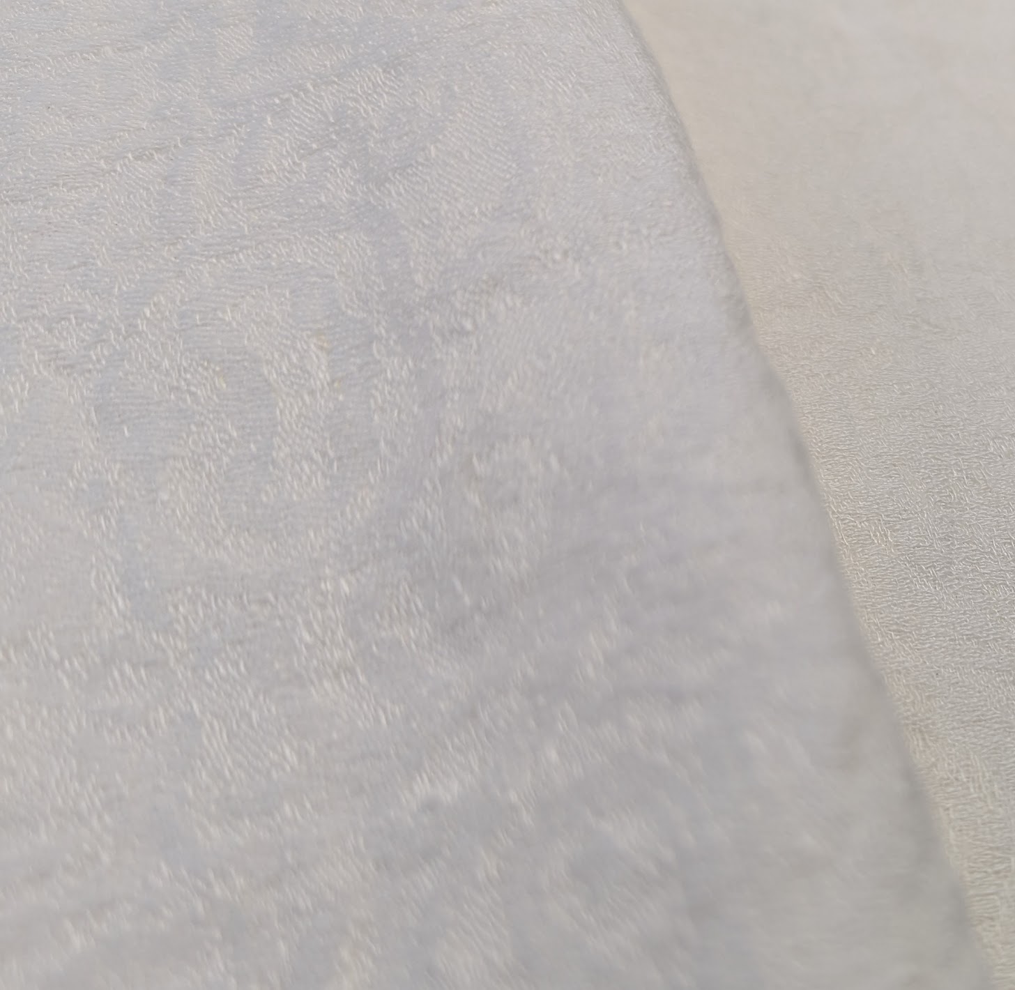 JE2687 — Oyster All Over Lace