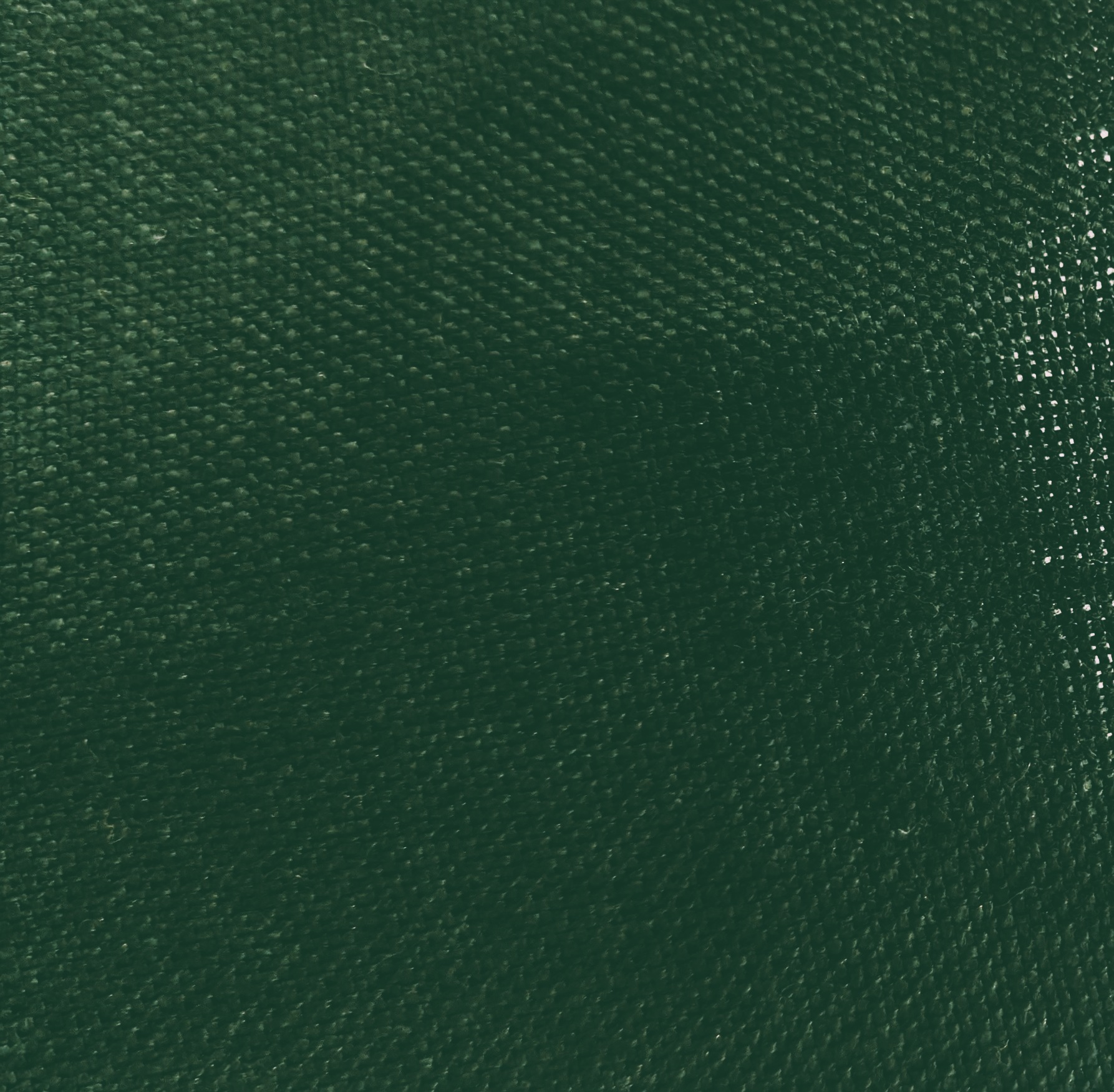 Thicket